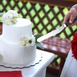 Stainless Steel Cake Spatula