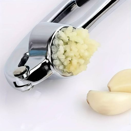 Garlic & ginger press